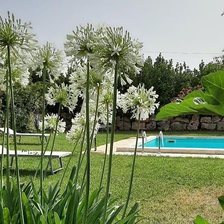 B&B Masseria Sant'Angelo Antonelli エクステリア 写真