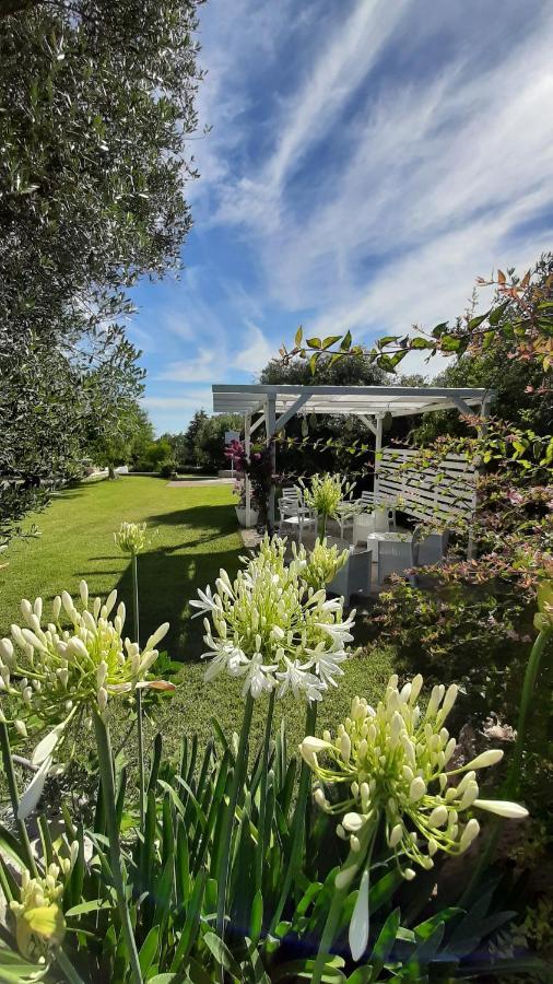 B&B Masseria Sant'Angelo Antonelli エクステリア 写真